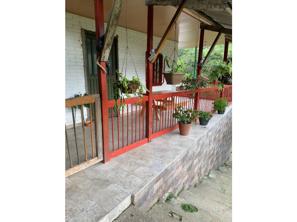 VENTA FINCA GENOVA QUINDIO COLOMBIA 3156194358 3207746921