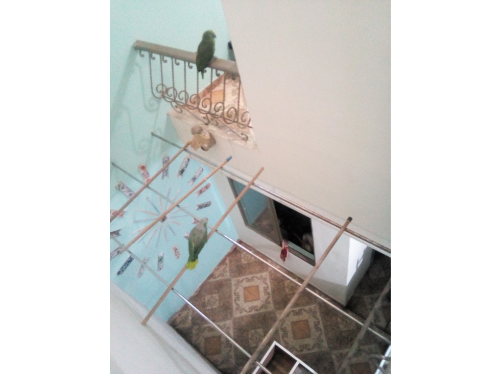 VENTA CASA SUR ARMENIA QUINDIO COLOMBIA 3156194358 — foto 5