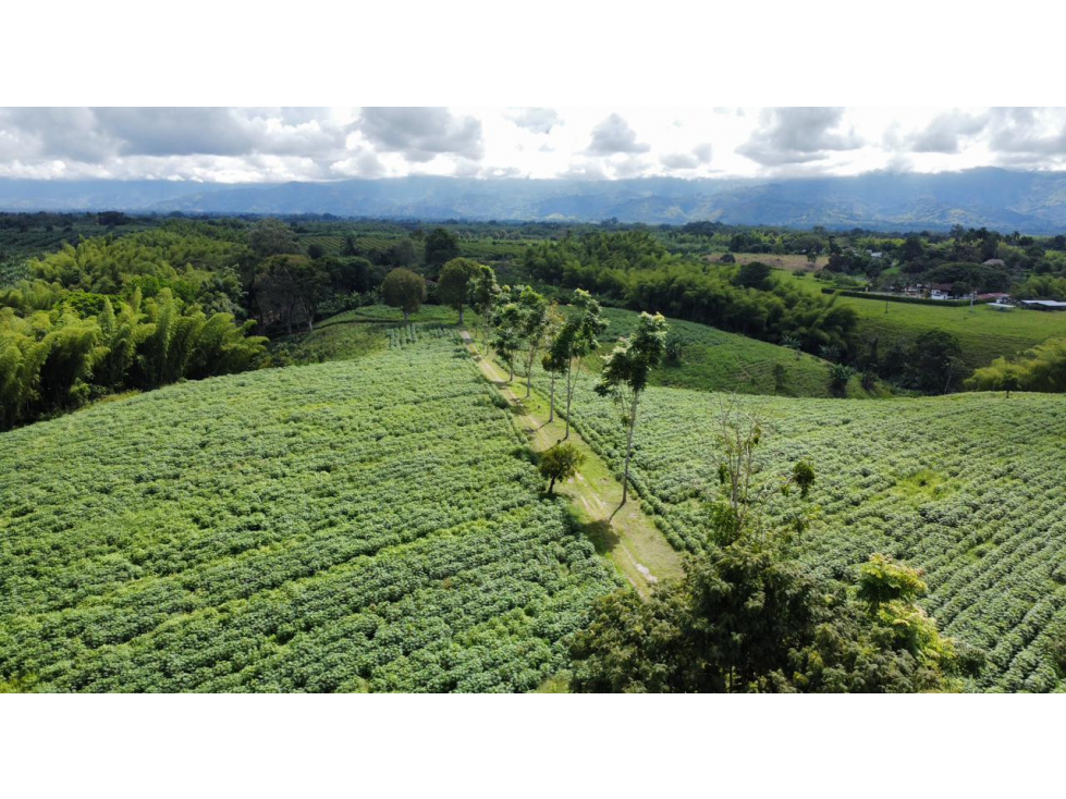 VENTA FINCA VIA AL EDEN, QUINDIO COLOMBIA