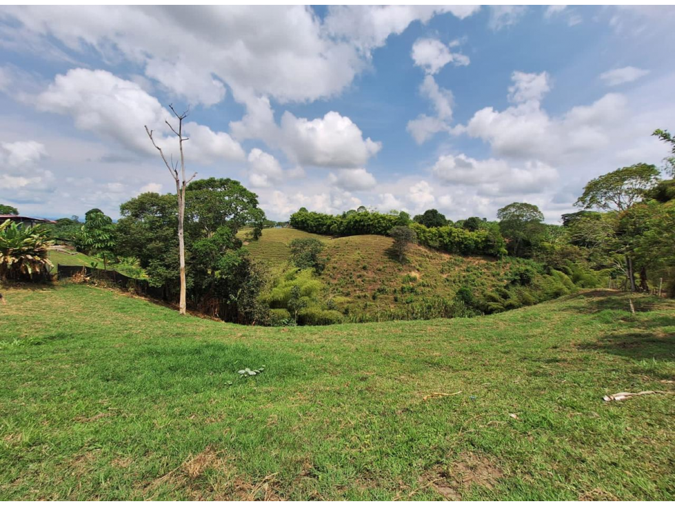 LOTE EN VENTA A SOLO 5 MINUTOS DE ARMENIA, Q, COLOMBIA. 3207746921