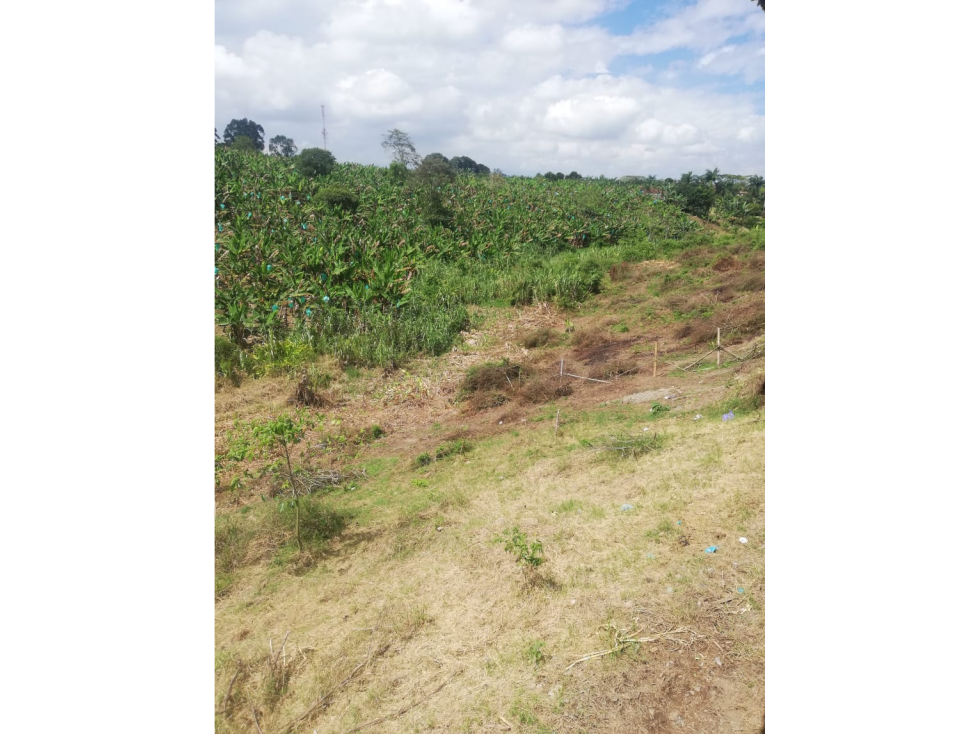SE VENDE LOTE EN PUEBLO TAPAO-QUINDIO