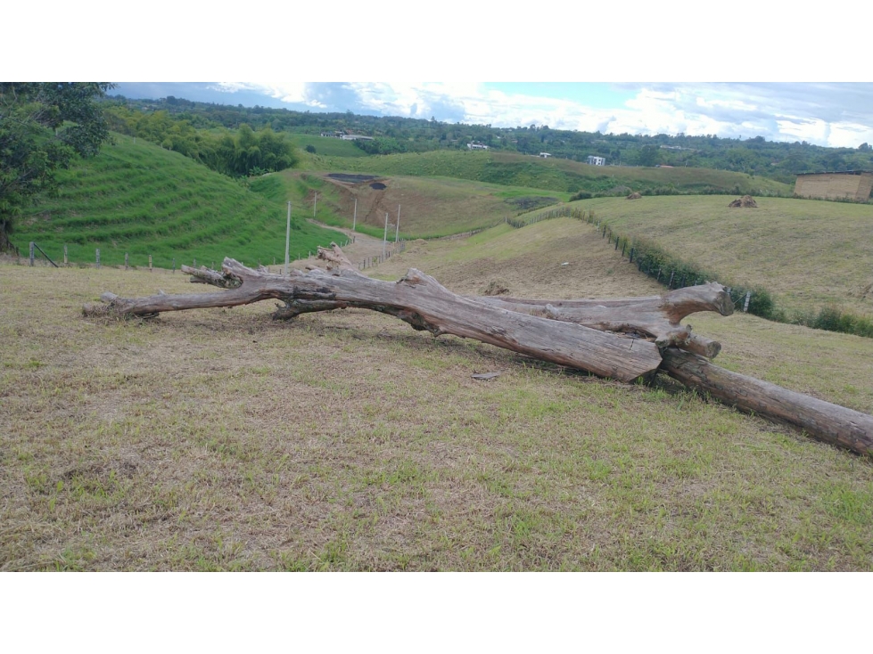 LOTE EN VENTA- HOJAS ANCHAS 3207746921