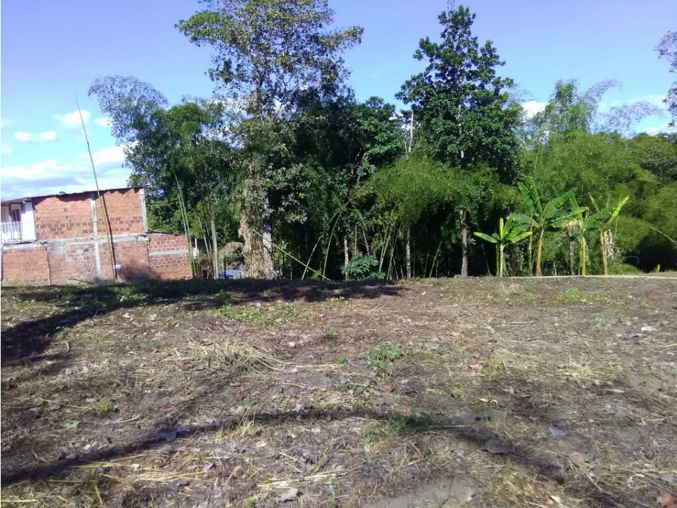 LOTE EN VENTA - VIA AL VALLE 3207746921