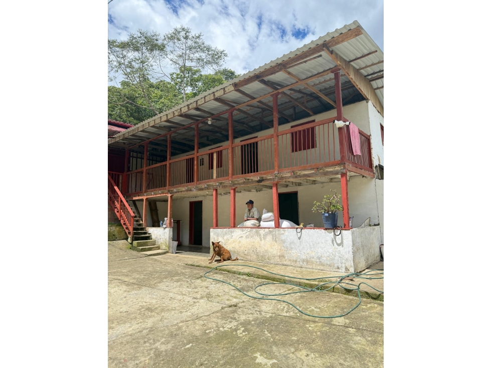 VENTA FINCA GÉNOVA QUINDIO COLOMBIA 3207746921 - 1