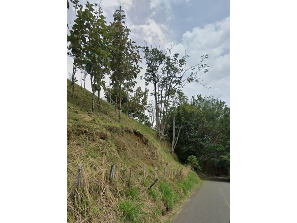 LOTE - 1