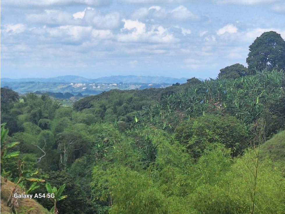 VENTA LOTE ENTRE ARMENIA Y CIRCASIA QUINDIO COLOMBIA 3207746921 — foto 2
