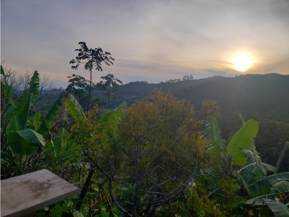 VENTA FINCA SALENTO QUINDIO COLOMBIA-3207746921 - 5