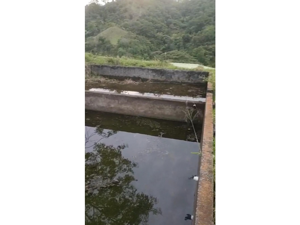 VENTA FINCA COROZAL VALLE DEL CAUCA COLOMBIA-3207746921 - 5