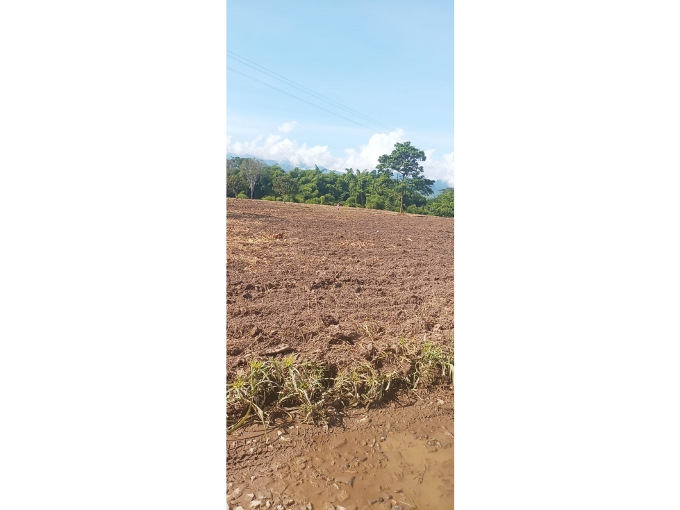 VENTA LOTE EN EL CAIMO VALLE DEL CAUCA COLOMBIA-3207746921 — foto 2
