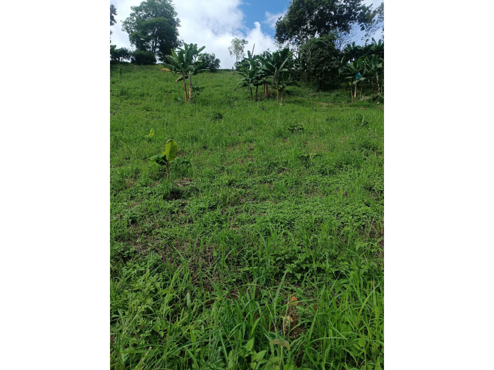 VENTA LOTE BUENAVISTA QUINDIO COLOMBIA-3207746921 - 1