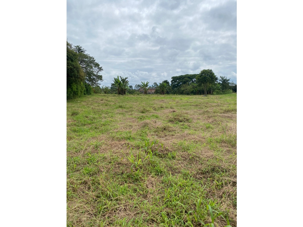 VENTA LOTE MONTENEGRO QUINDIO COLOMBIA 3156194358