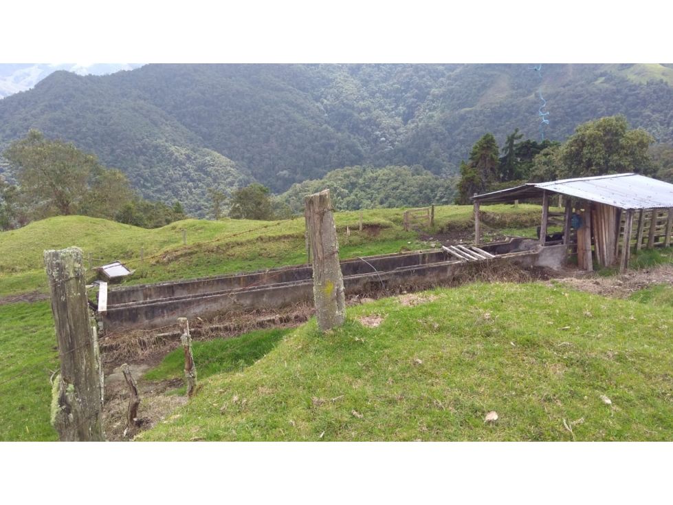 SE VENDE FINCA EN MANIZALES CALDAS COLOMBIA — foto 4