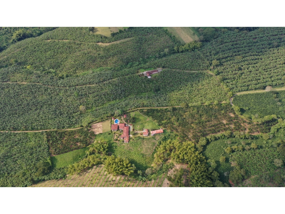 VENTA LOTE SUR ARMENIA QUINDIO, COLOMBIA. CEL. 320 7746921 — foto 4
