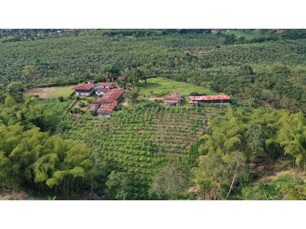 VENTA LOTE SUR ARMENIA QUINDIO, COLOMBIA. CEL. 320 7746921