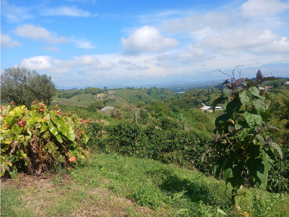 VENTA FINCA FILANDIA QUINDIO COLOMBIA 3207746921 — foto 6