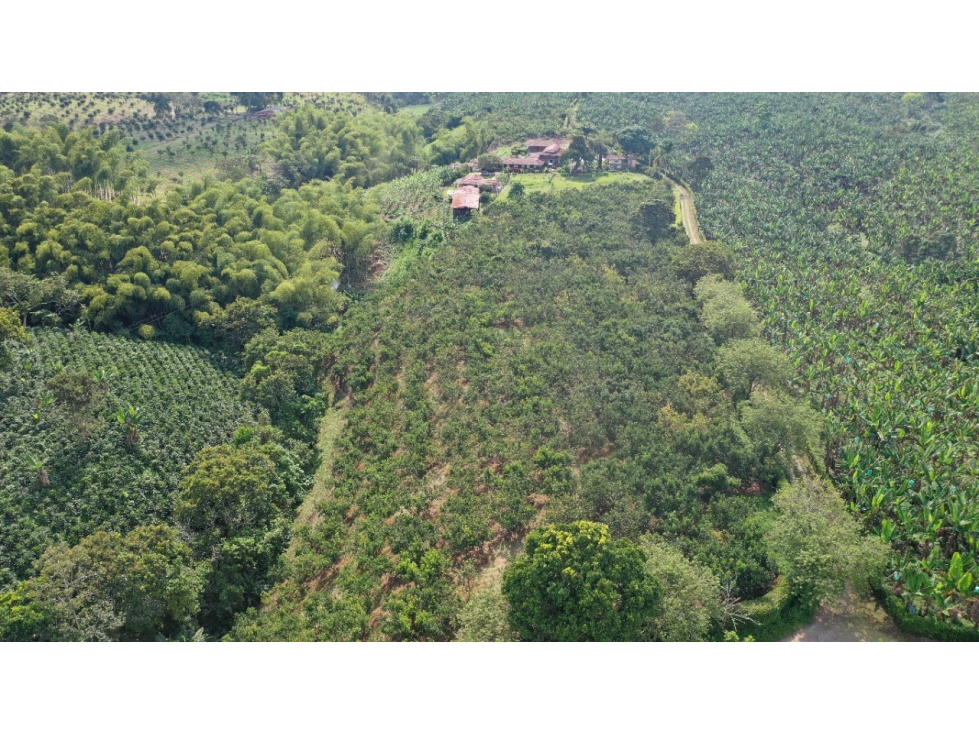 VENTA LOTE SUR ARMENIA QUINDIO, COLOMBIA. CEL. 320 7746921 — foto 5