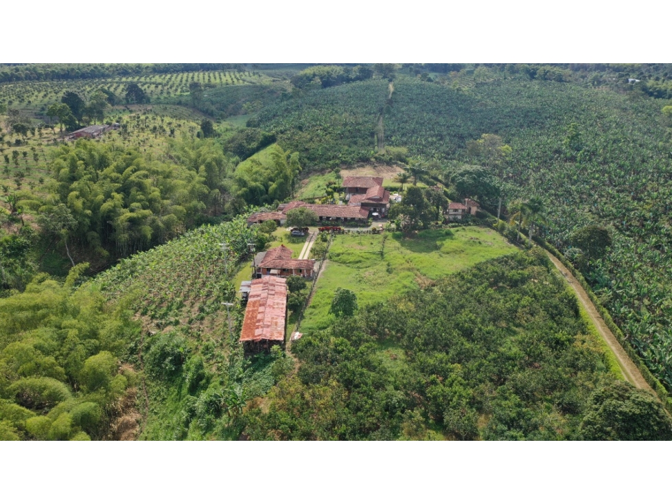 VENTA LOTE SUR ARMENIA QUINDIO, COLOMBIA. CEL. 320 7746921 — foto 6