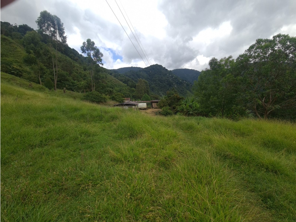 SE VENDE FINCA EN GENOVA QUINDIO COLOMBIA - 4
