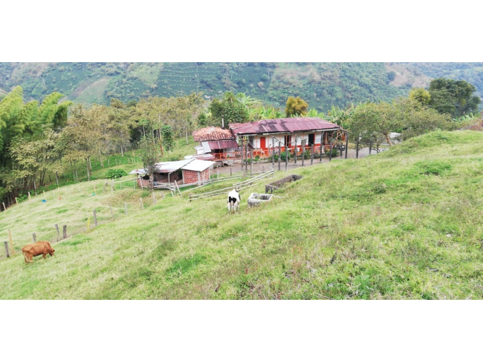SE VENDE FINCA EN GENOVA - 1