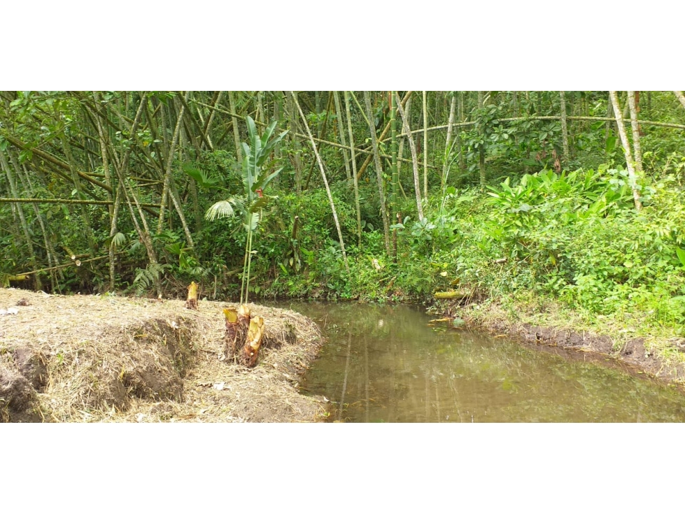 VENTA LOTE SUR ARMENIA QUINDIO, COLOMBIA. CEL. 320 7746921 — foto 3