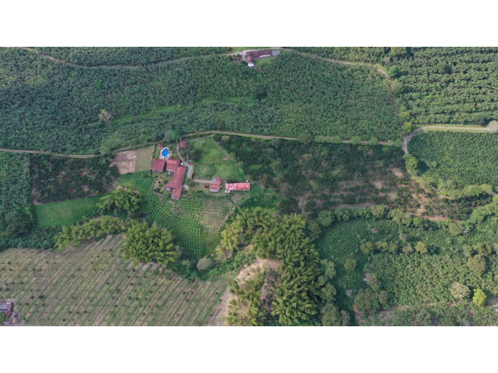 VENTA LOTE SUR ARMENIA QUINDIO, COLOMBIA. CEL. 320 7746921
