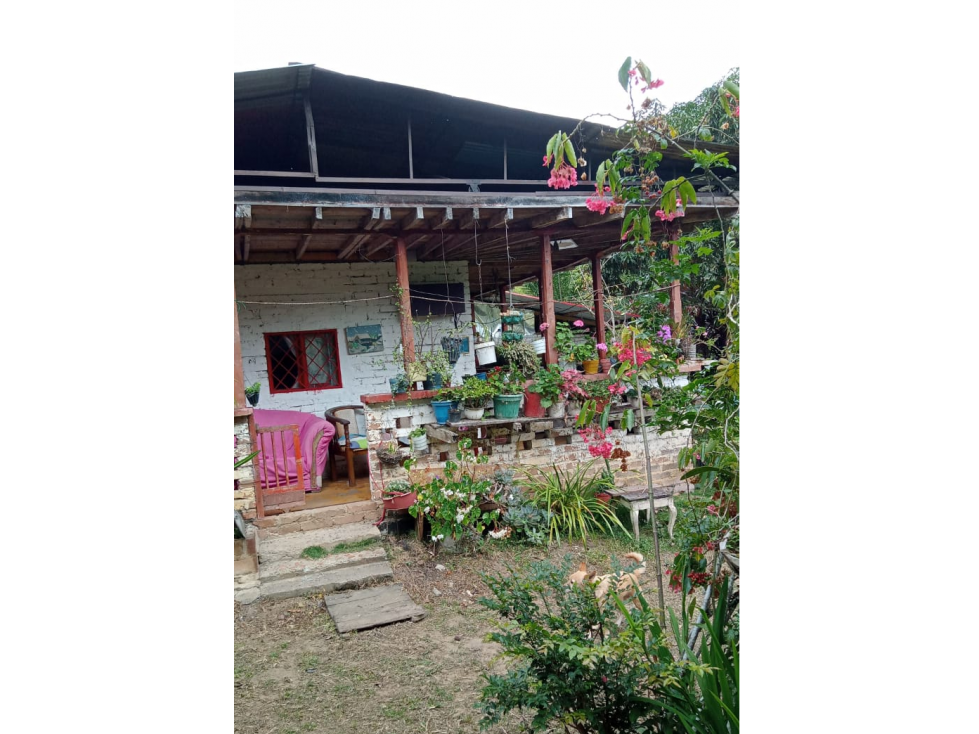 SE VENDE FINCA CERCANA A GENOVA QUINDIO COLOMBIA - 2