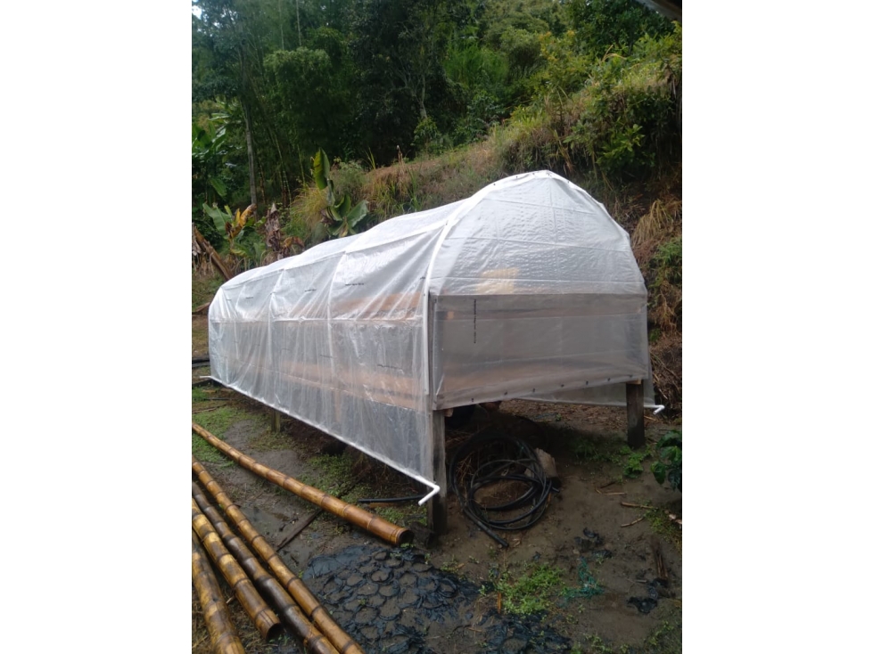 SE VENDE FINCA EN CAJAMARCA TOLIMA - 2