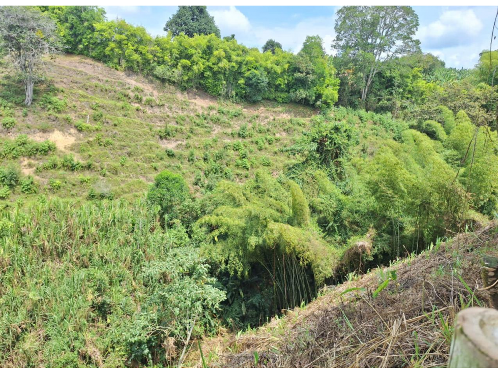 LOTE EN VENTA A SOLO 5 MINUTOS DE ARMENIA, Q, COLOMBIA. 3207746921 — foto 3