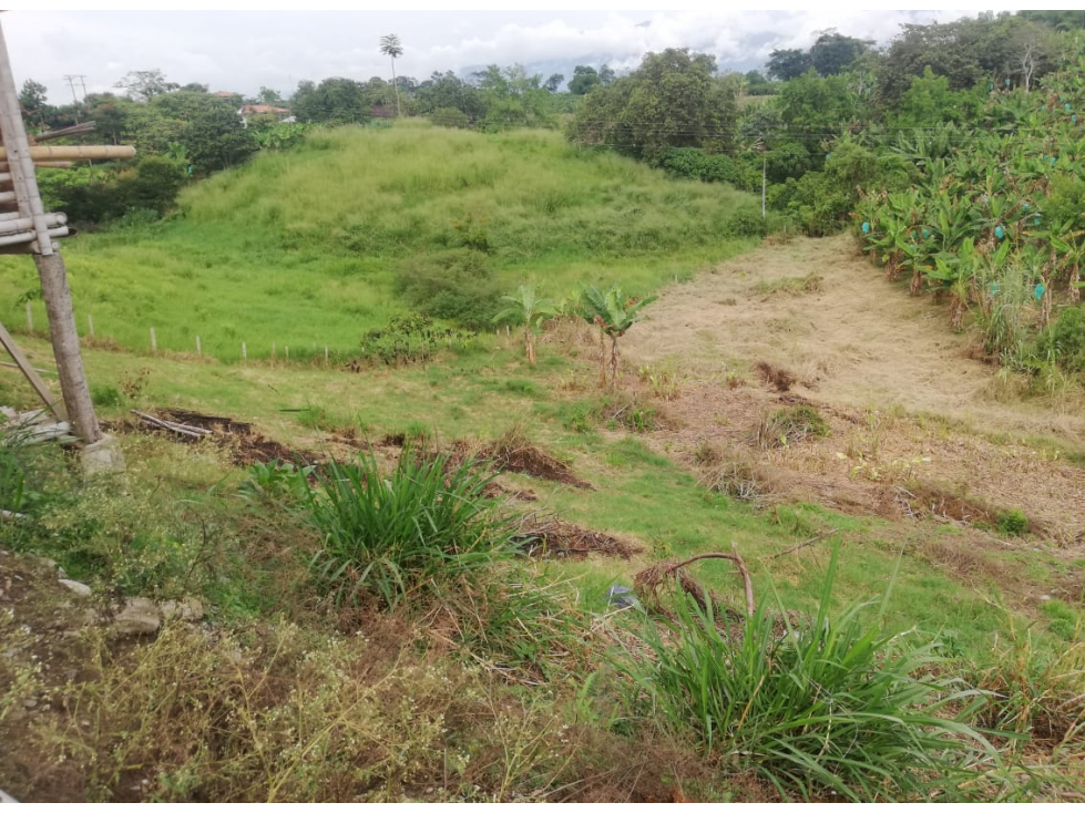 SE VENDE LOTE EN PUEBLO TAPAO-QUINDIO — foto 2