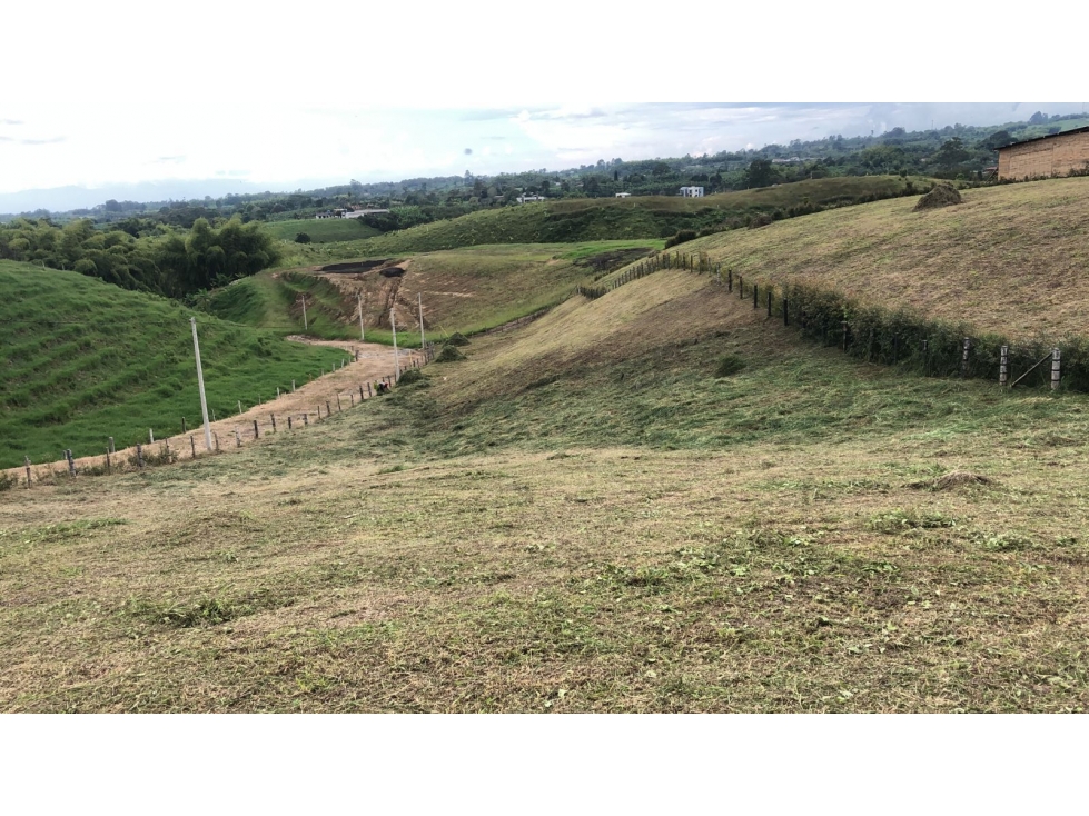 LOTE EN VENTA- HOJAS ANCHAS 3207746921 — foto 2