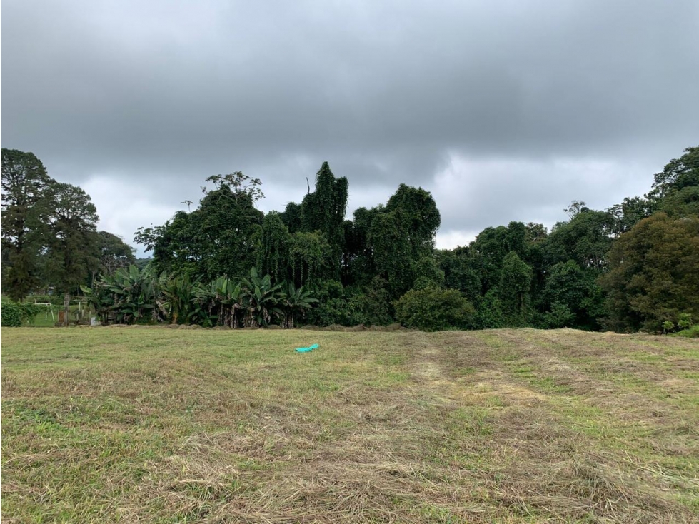 SE VENDE LOTE CAMPESTRE- CIRCASIA QUINDIO - 2