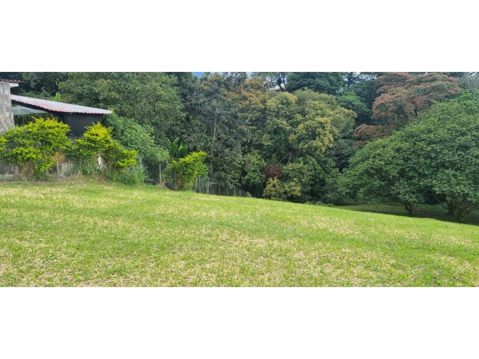 LOTE EN VENTA EN CIRCASIA QUINDIO. - 2