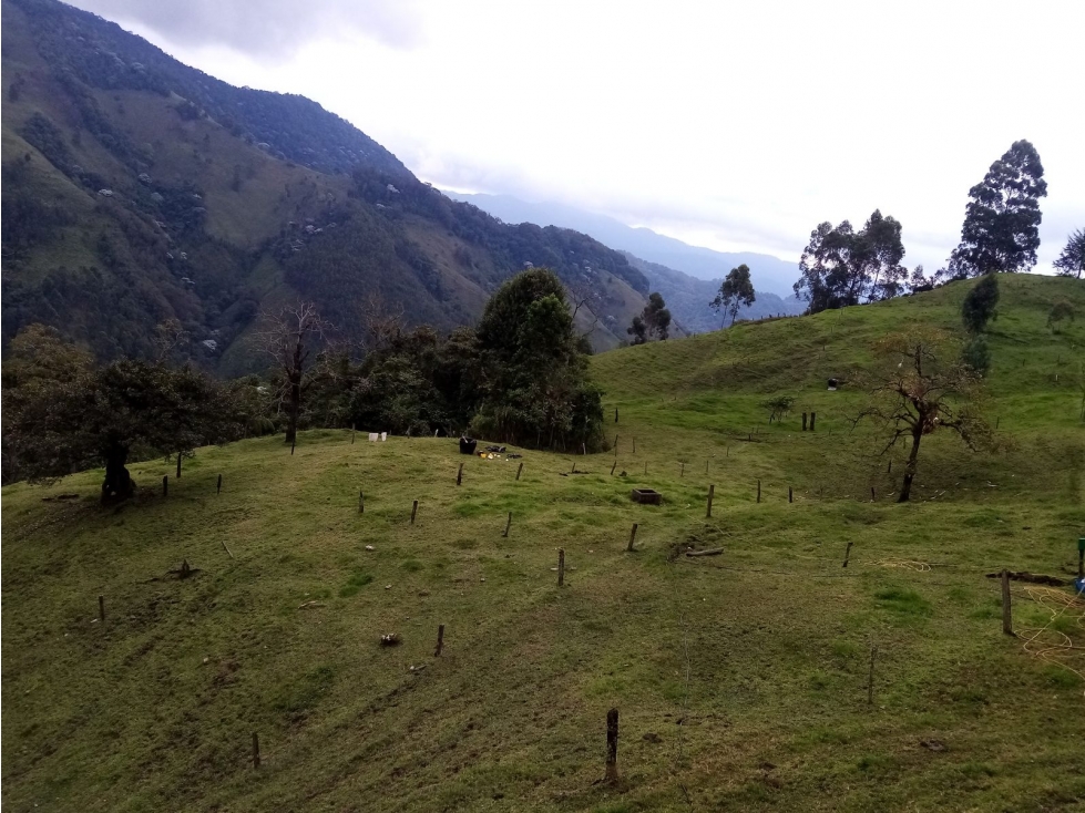 FINCA EN VENTA, GENOVA QUINDIO - 2