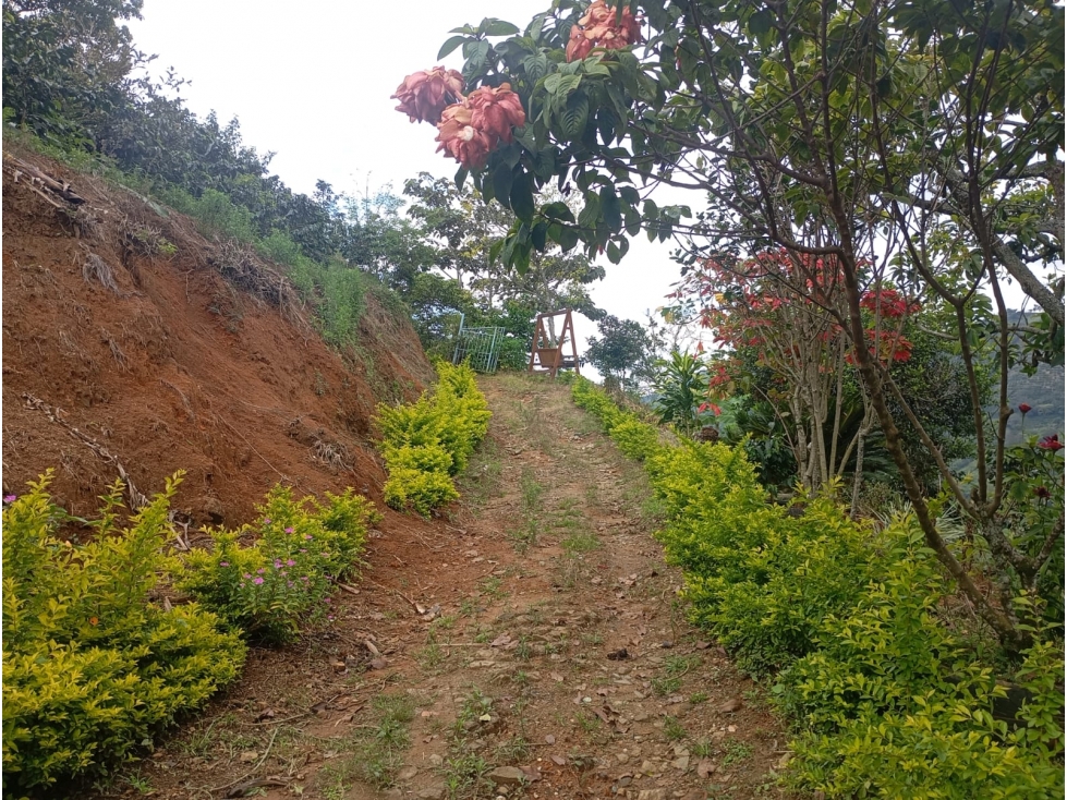 FINCA EN VENTA, CAICEDONIA VALLE - 3