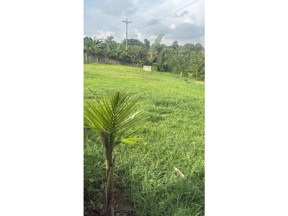 se vende lote Circasia Quindio — foto 2