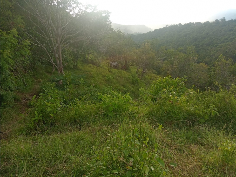 SE VENDE FINCA EN ARBELAEZ FUSAGASUGA - 2
