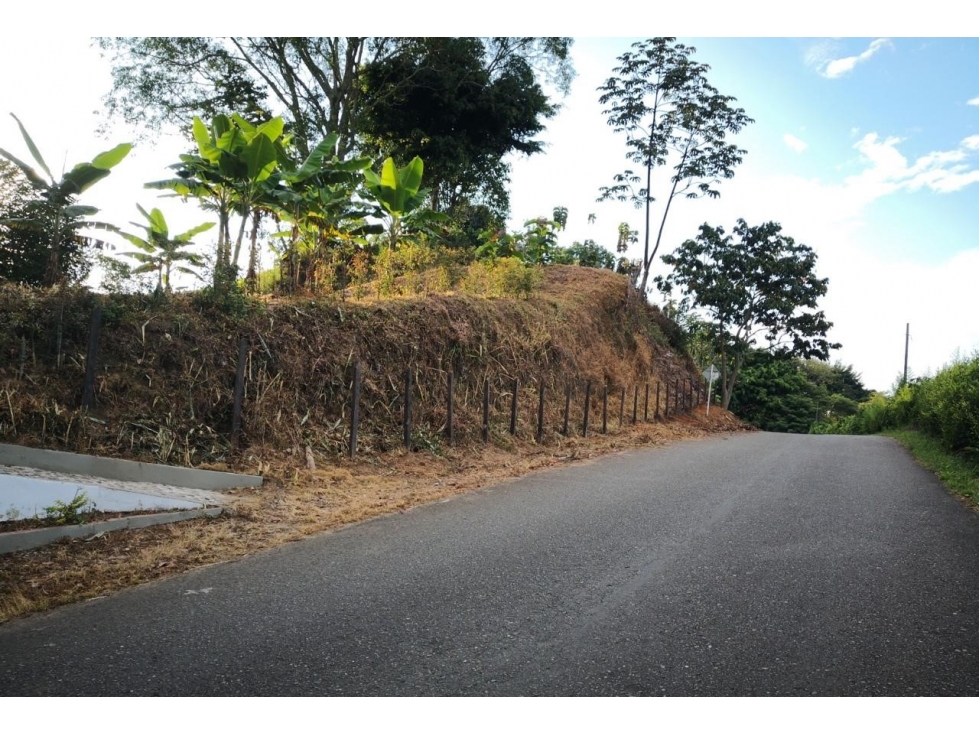 LOTE - 2