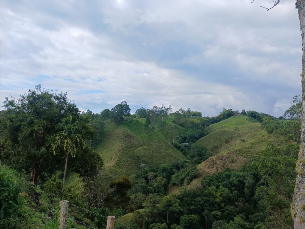 VENTA FINCA FILANDIA QUINDIO COLOMBIA 3207746921 — foto 2