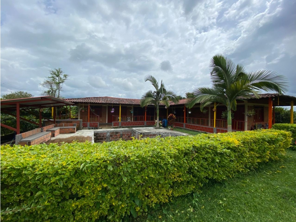 VENTA FINCA MONTENEGRO QUINDIO COLOMBIA 3207746921 — foto 2
