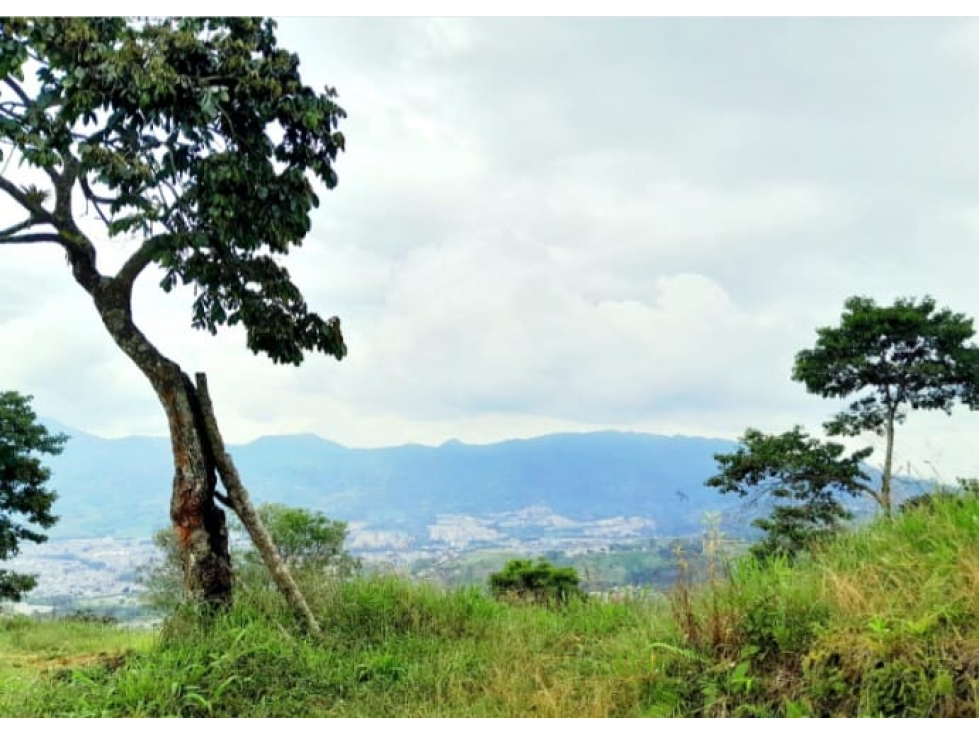 VENTA CASA FINCA PEREIRA DOSQUEBRADAS COLOMBIA 3207746921 — foto 5