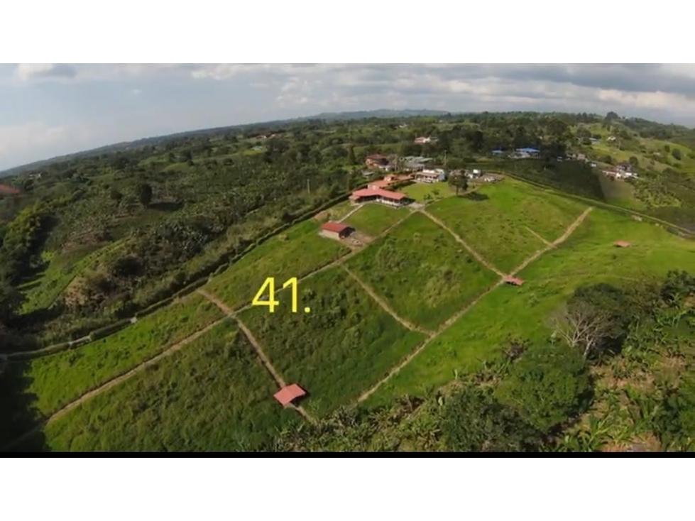 VENTA FINCA CIRCASIA QUINDIO COLOMBIA 3207746921 — foto 2