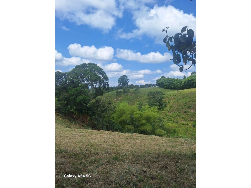 VENTA LOTE ENTRE ARMENIA Y CIRCASIA QUINDIO COLOMBIA 3207746921 — foto 3