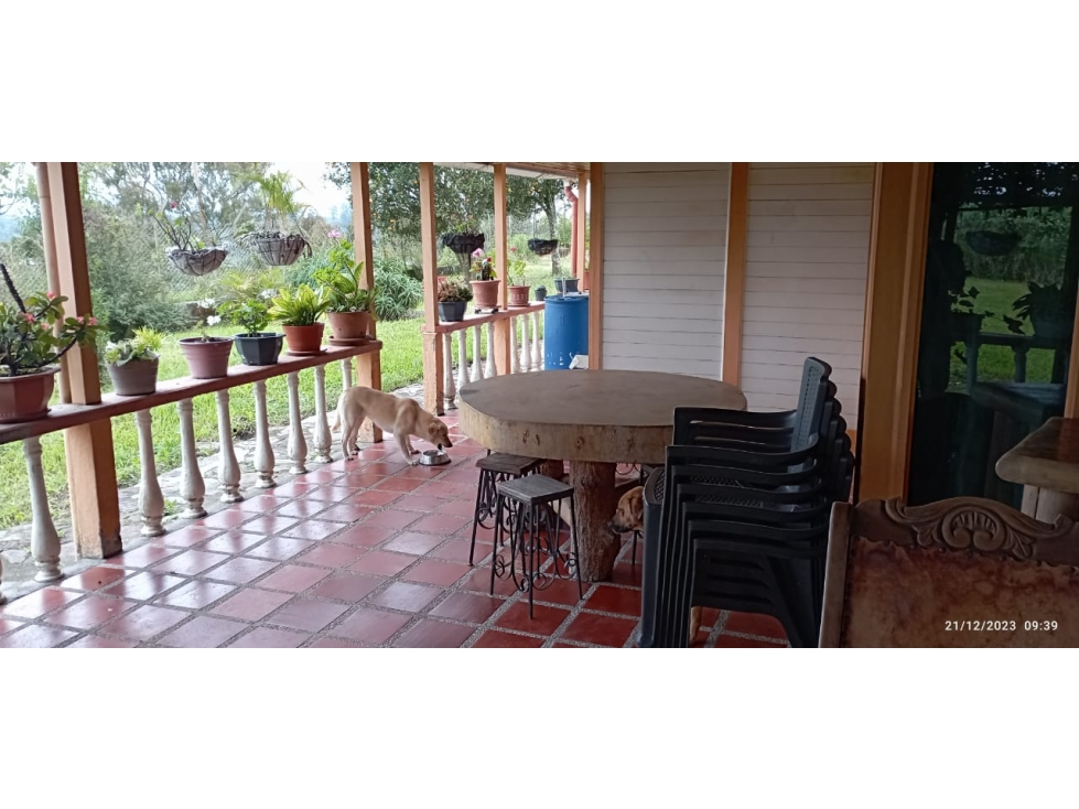 VENTA FINCA EN CIRCASIA QUINDIO COLOMBIA-3207746921 — foto 3
