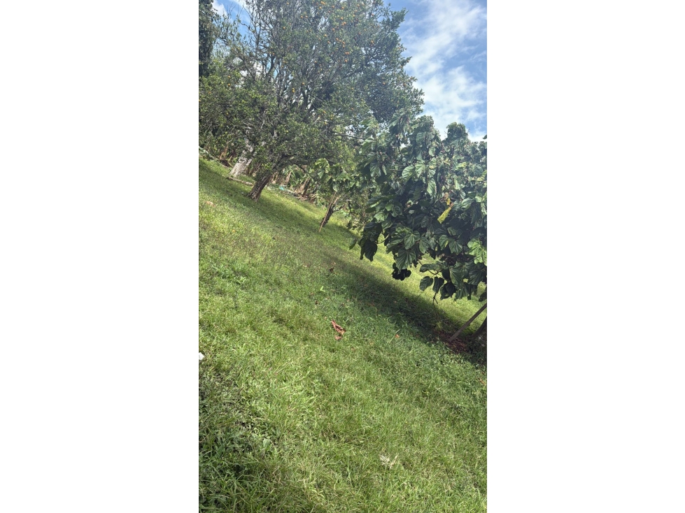 SE VENDE LOTE EN QUIMBAYA QUINDIO COLOMBIA-3207746921 - 2