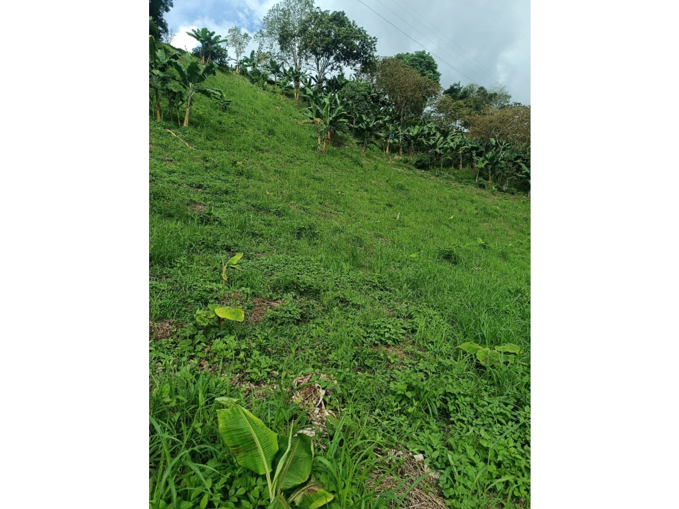 VENTA LOTE BUENAVISTA QUINDIO COLOMBIA-3207746921 - 2