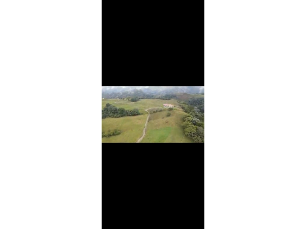 VENTA FINCA FILANDIA QUINDIO COLOMBIA 3162818031 — foto 2