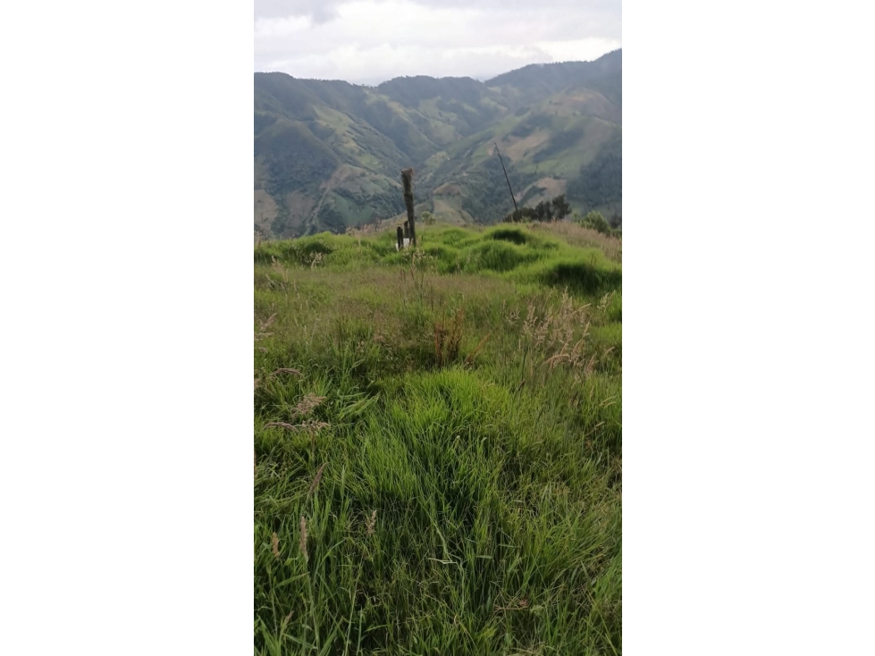 VENTA FINCA CAJAMARCA COLOMBIA 3156194358 - 2