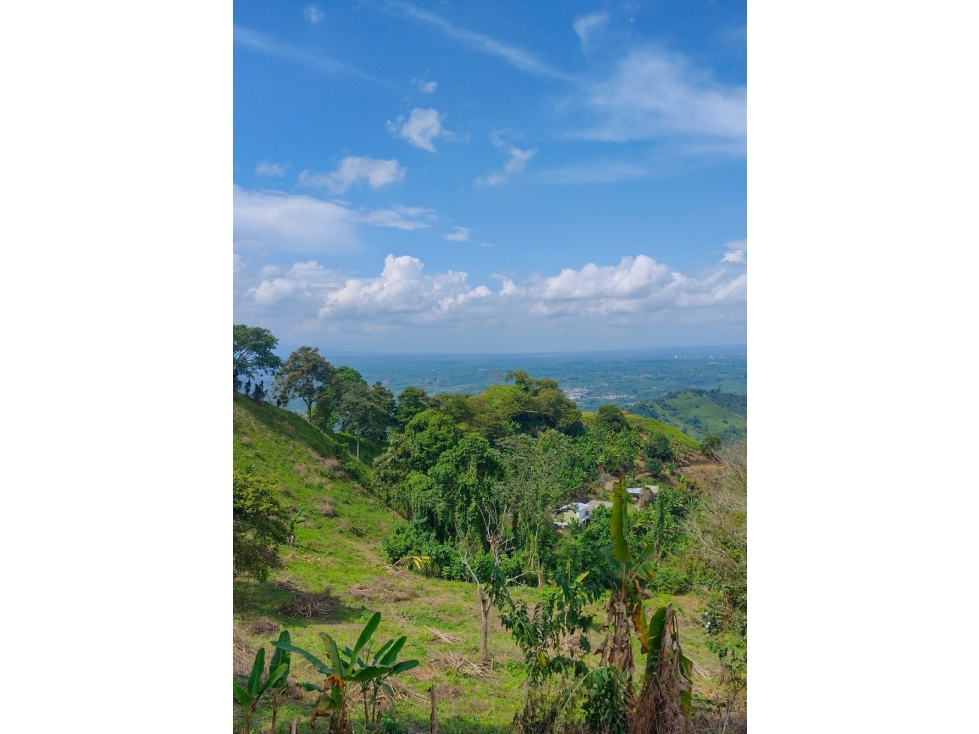 VENTA FINCA CORDOBA QUINDIO COLOMBIA 3156194358