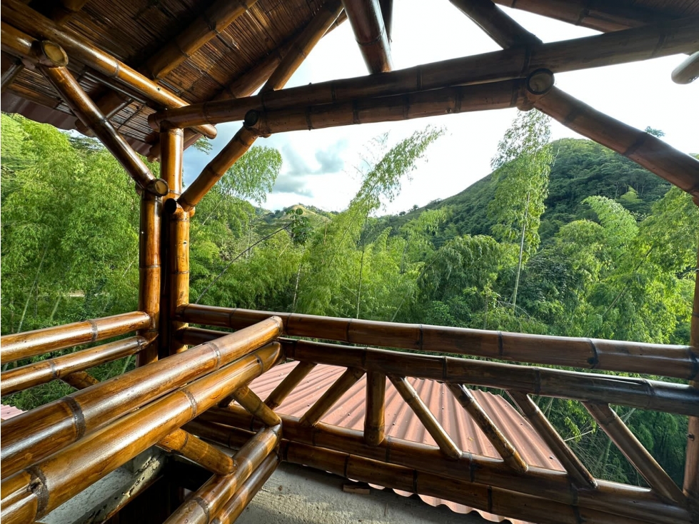 SE VENDE FINCA EN SEVILLA VALLE- COLOMBIA - 3