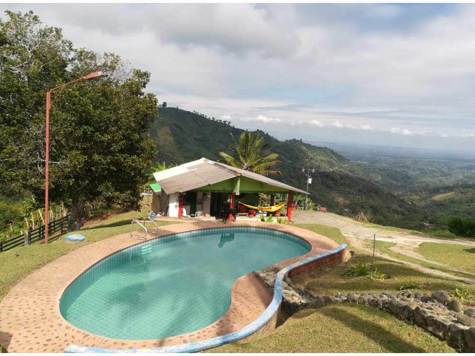 VENTA FINCA EN PIJAO QUINDIO, COLOMBIA CEL. 320 7746921 - 2